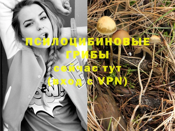 а пвп мука Белокуриха